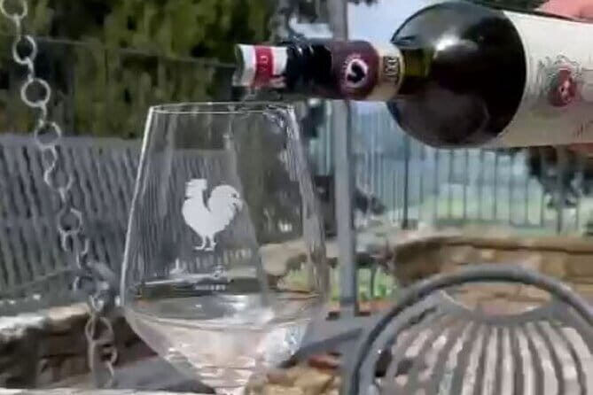 Wine tasting in TWO family wineries around Florence - A private Chianti wine day from Florence (with real village breaks)