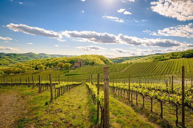 Wine tasting in TWO family wineries around Florence - Greve in Chianti: a short look at the town center