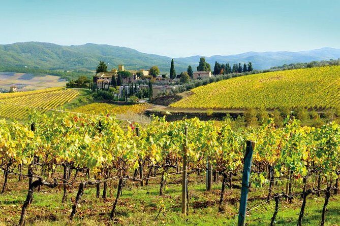 Wine Tasting & Tuscany Countryside, San Gimignano & Volterra - Price and Value: What You’re Paying For at About $197 Per Person