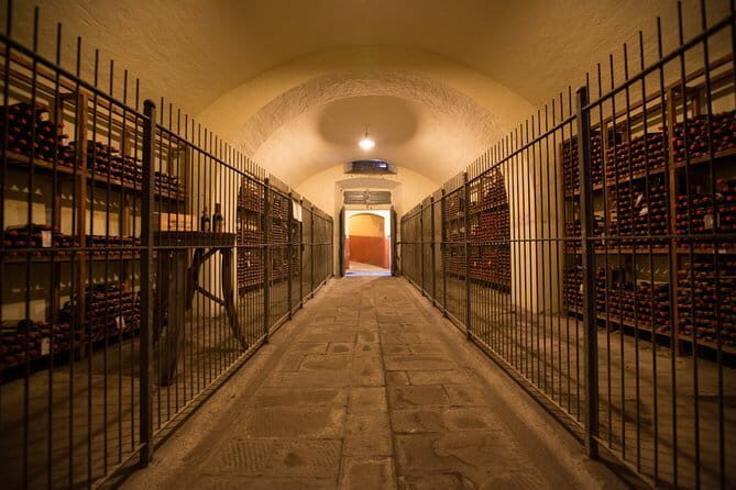 Wine Tour Experience - Key highlights at Tenuta di Capezzana