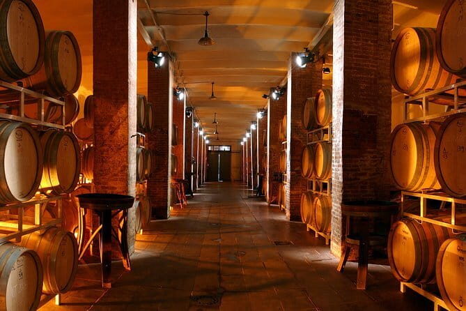Wine Tour Experience - Tenuta di Capezzana: Carmignano’s wine country within a Florence day