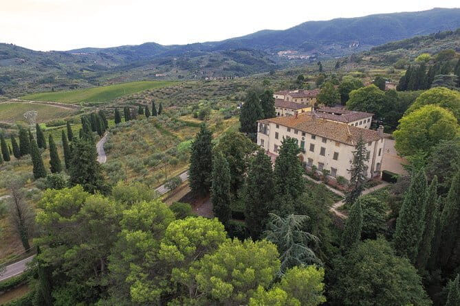 Wine Tour Experience - Historical cellar tour: where the wine story starts