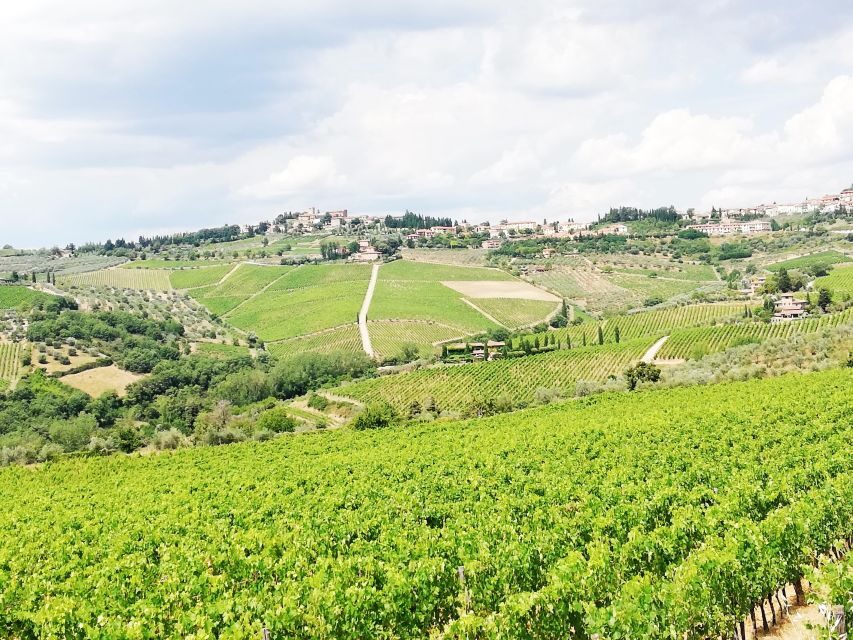 Wine Tour in Open Top Van - Poggio Amorelli tasting: start with the wine, not the speeches