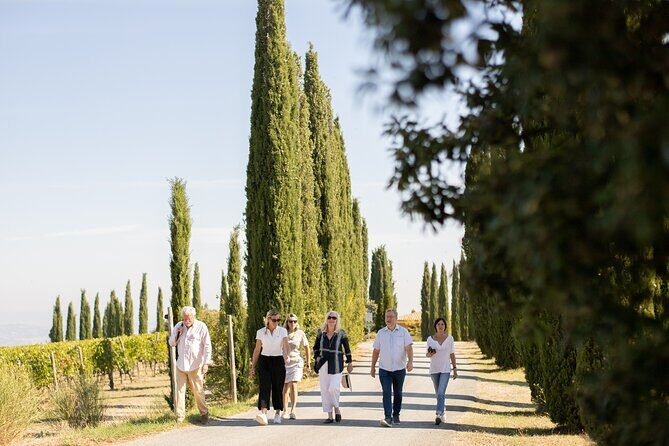 Winery Tour & Gourmet Tasting in Montalcino - The cross-vaulted cellar: where aging gets explained like a system