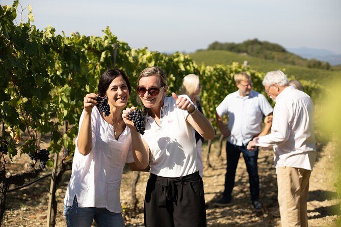Winery Tour & Gourmet Tasting in Montalcino - Price and value: what $96.23 buys you (and what it doesn’t)