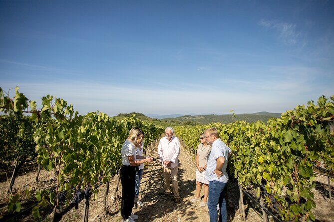 Winery Tour & Gourmet Tasting in Montalcino - Who this tour suits best (and who should skip it)