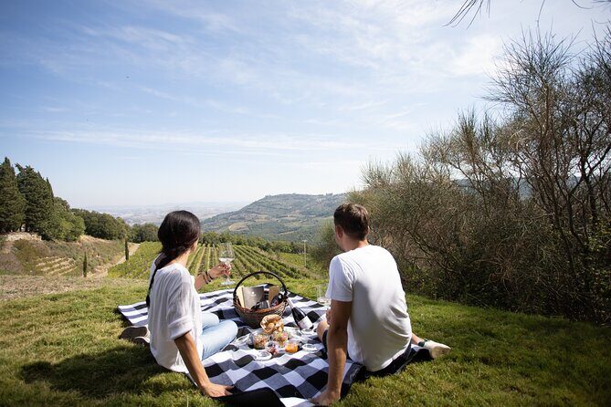 Winery Tour & picnic in the vineyard with a bottle of wine - Corte Pavone in Tuscany: what kind of tour this really is