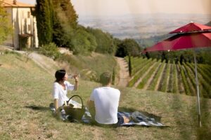 Winery Tour & picnic in the vineyard with a bottle of wine - The cellar option: why a vaulted room matters