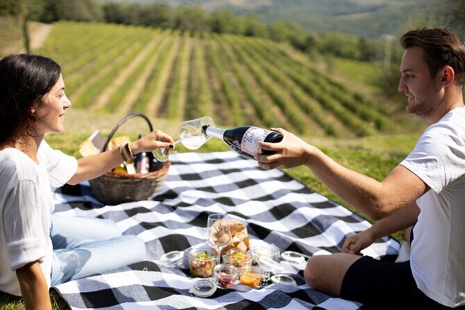 Winery Tour & picnic in the vineyard with a bottle of wine - Price and value: $47.32 feels fair for what you get