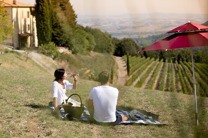 Winery Tour & picnic in the vineyard with a bottle of wine - The cellar option: why a vaulted room matters