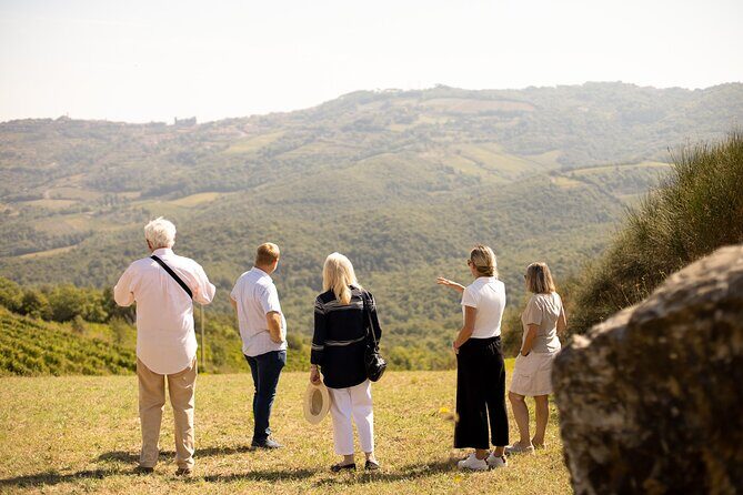 Winery tour & wine tasting in Montalcino - Vineyard walk by Corte Pavone: where the tour starts and what you’ll actually learn