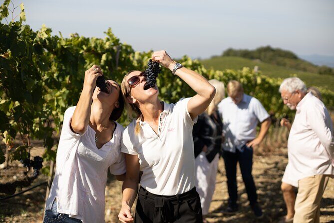 Winery tour & wine tasting in Montalcino - Terrace or tasting space: small details that change the vibe