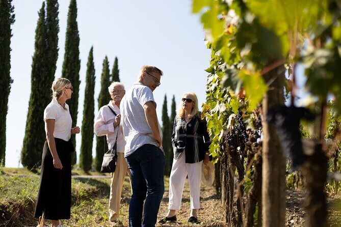 Winery tour & wine tasting in Montalcino - Price and value at $47.93: what you’re paying for, and where it may feel uneven