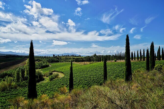 Winery tour & wine tasting in Montalcino - Timing and booking: how far ahead to plan in this part of Tuscany