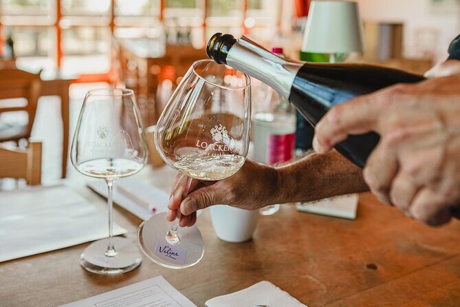 Winery tour & wine tasting in Montalcino - From grapes to aging: the processing area and the cross-vaulted cellar