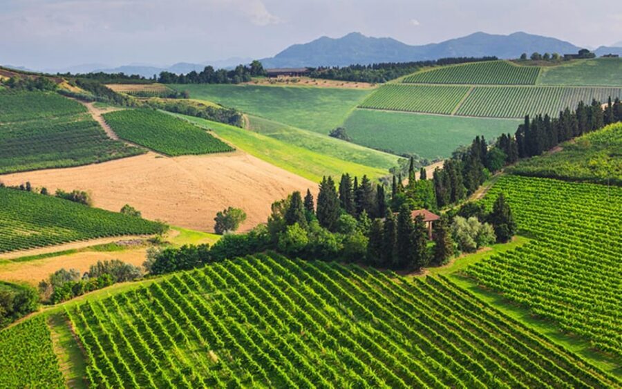 YOUR HONEYMOON IN TUSCANY: Private Chianti Wine Tasting Tour - Key highlights at a glance