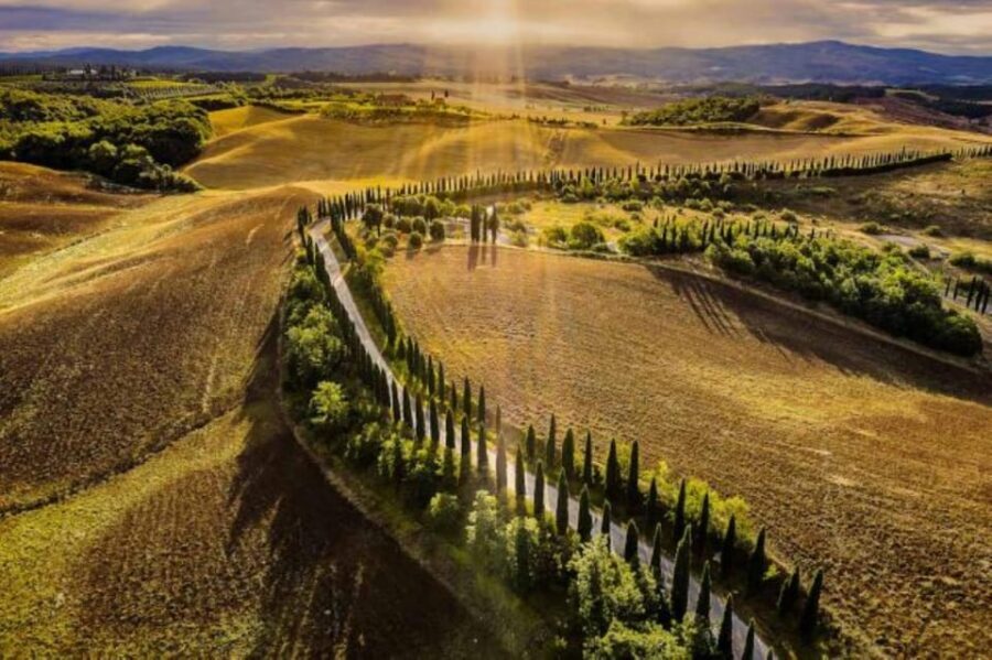 YOUR HONEYMOON IN TUSCANY: Private Chianti Wine Tasting Tour - Chianti winery lunch plus wine tastings: Vernaccia, Supertuscan, and Chianti varieties